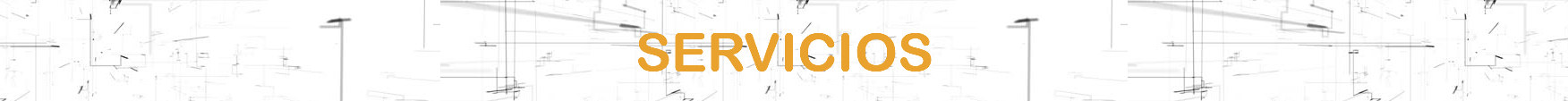  SERVICIOS 