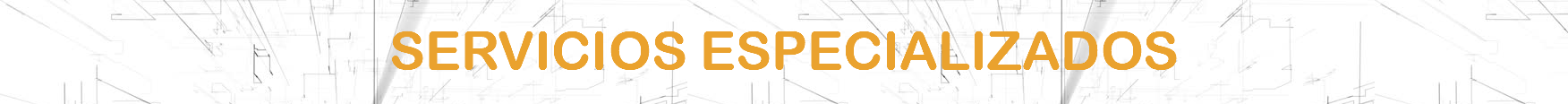  SERVICIOS ESPECIALIZADOS 